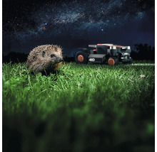 Ježko v tráve s robotickou kosačkou v pozadí pod hviezdnou oblohou