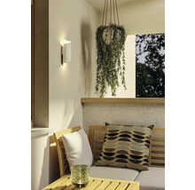 Scéna s nástennou lampou, závesnou rastlinou a posedením vonku