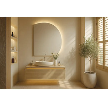 Moderná kúpeľňa s umývadlom, zrkadlom a rastlinou