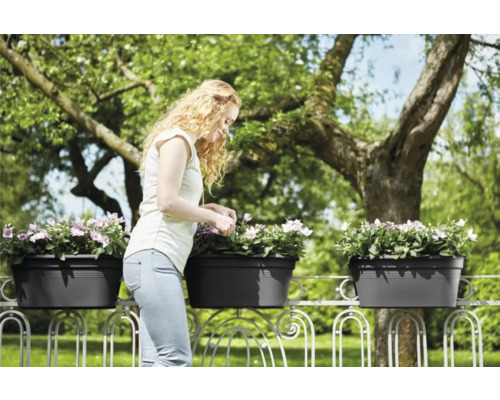 Žena sa stará o kvety v kvetináčoch na balkónovom zábradlí