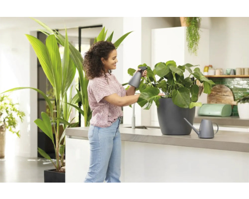 Žena zavlažuje izbovú rastlinu rozprašovačom vo svetlej kuchyni.
