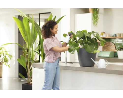 Žena strieka izbovú rastlinu rozprašovačom vo svetlej kuchyni