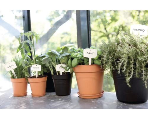 Bylinky a zeleninové rastliny v kvetináčoch s menovkami