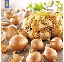 Cibuľa v sieti na stole