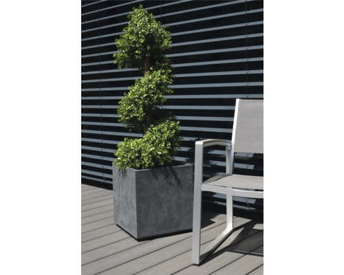 Ozdobná rastlina v kvetináči vedľa stoličky vonku.