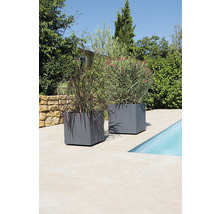 Dva sivé kvetináče s rastlinami vedľa bazéna