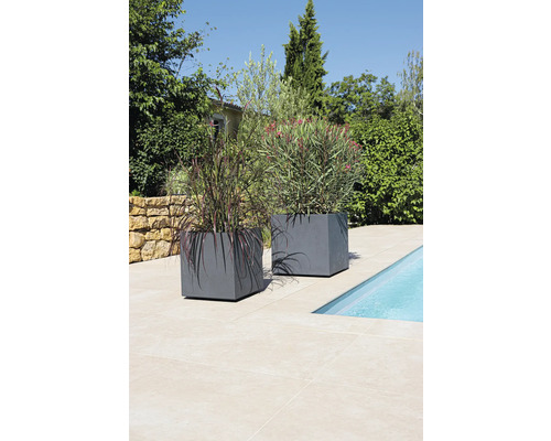 Dva sivé kvetináče s rastlinami vedľa bazéna