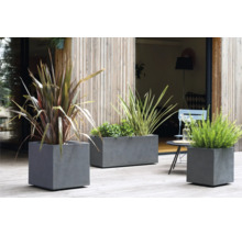 Tri sivé betónové kvetináče na terase s rôznymi rastlinami