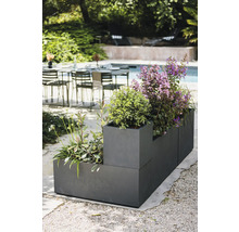 Kvetináč s rôznymi rastlinami vonku.