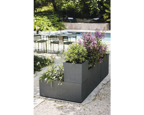 Kvetináč s rôznymi rastlinami vonku.