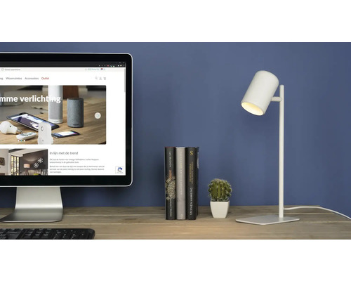 Stolová scéna s obrazovkou počítača, knihami, kaktusom a stolnou lampou