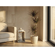 Obývacia izba s dracénou v rebrovanom kvetináči vedľa kresla a príručného stolíka