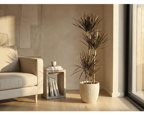 Obývacia izba s dracénou v rebrovanom kvetináči vedľa kresla a príručného stolíka