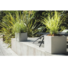 Dekoratívne kvetináče s výsadbou v záhrade.