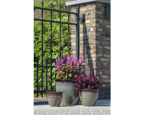 Tri kvetináče s rastlinami pred plotom a tehlovou stenou