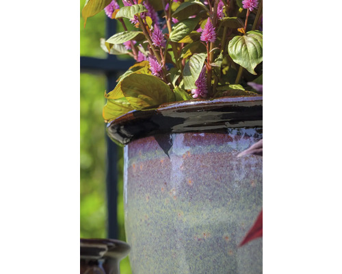 Detail rastliny v keramickom kvetináči.