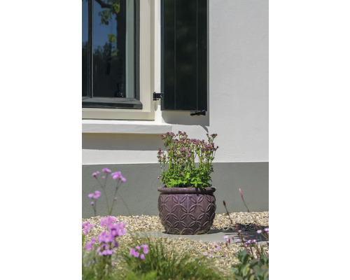 Kvetináč s kvitnúcou rastlinou v záhrade