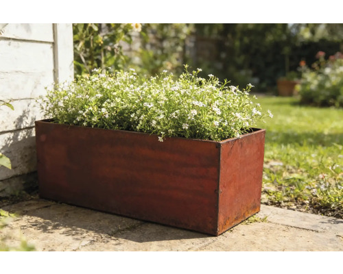 Obdĺžnikový kovový kvetináč s bielo kvitnúcimi rastlinami v záhrade.