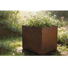 Štvorcový kovový kvetináč s kvetmi