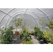 Skleník s rôznymi rastlinami v kvetináčoch a kontajneroch.