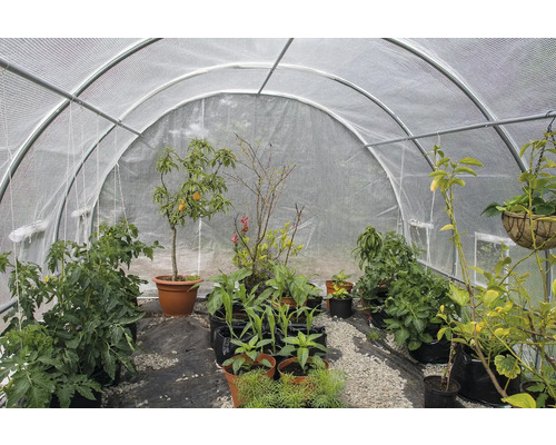 Skleník s rôznymi rastlinami v kvetináčoch a kontajneroch.