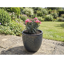 Klinček v štruktúrovanej keramickej kvetinovej váze v záhrade