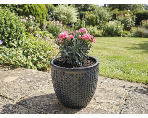 Klinček v štruktúrovanej keramickej kvetinovej váze v záhrade