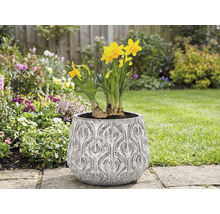 Narcisy v kvetináči s reliéfnym vzorom v záhrade