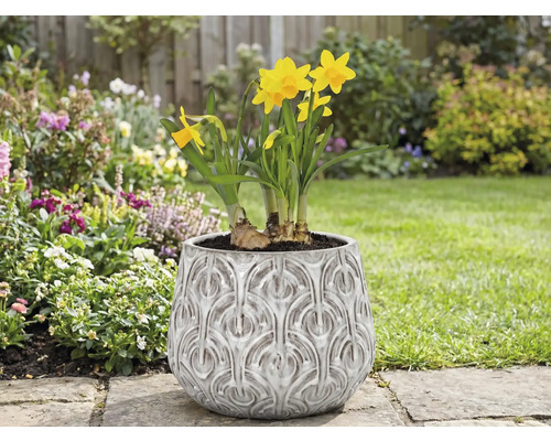 Narcisy v kvetináči s reliéfnym vzorom v záhrade