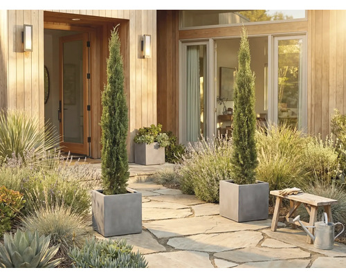 Dekoratívny vstupný priestor s dvoma štíhlymi cyprišmi v hranatých kvetináčoch