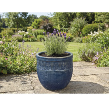 Levanduľa v ozdobnom kvetináči v záhrade