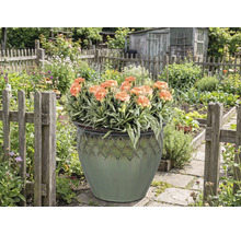 Ozdobný kvetináč s klinčekmi v záhrade.