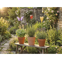 Tri bylinkové kvetináče s kolíkmi v tvare motýľa, tulipánu a srdca na drevenej lavičke v záhrade.