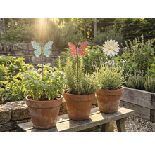 Tri terakotové kvetináče s bylinkami a ozdobnými záhradnými zápichmi na drevenej lavičke v záhrade.