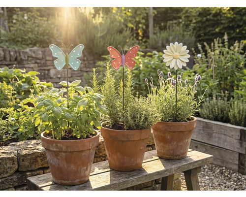 Tri terakotové kvetináče s bylinkami a ozdobnými záhradnými zápichmi na drevenej lavičke v záhrade.