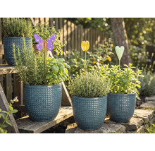 Kvetináče s bylinkami a ozdobnými záhradnými zápichmi na záhradných schodoch