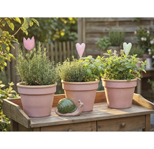 Tri kvetináče s bylinkami a dekoráciami na drevenom stole