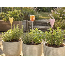 Tri kvetináče s bylinkami a zápichmi do záhona v záhrade