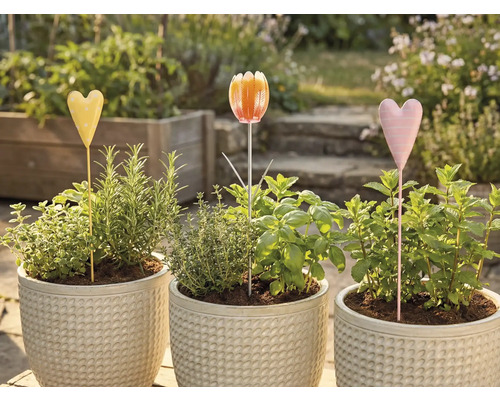 Tri kvetináče s bylinkami a zápichmi do záhona v záhrade