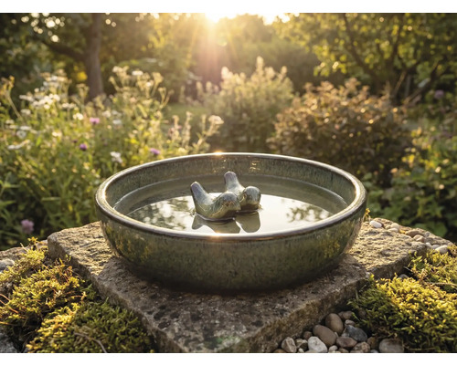 Keramické napájadlo pre vtáky s vtáčou dekoráciou v záhrade