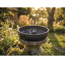 Keramické pitítko pre vtáky s vtáčími motívmi v záhrade