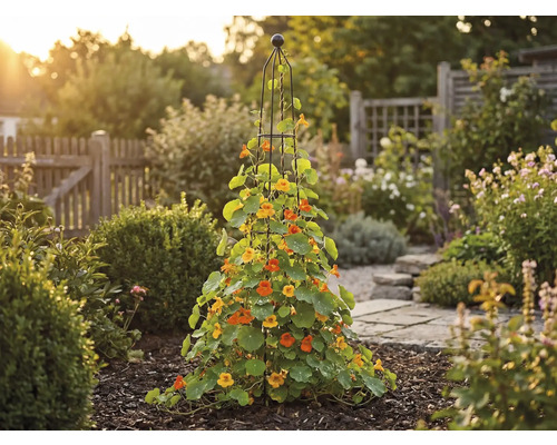 Pohľad do záhrady s popínavými rastlinami na podpore