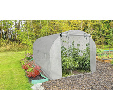 Fóliovník v záhrade s rastlinami