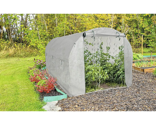 Fóliovník v záhrade s rastlinami