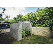 Skleník v záhrade s rastlinami