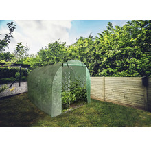 Záhradný skleník s rastlinami v záhrade