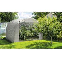 Skleník s rastlinami v záhrade