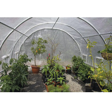 Skleník s rôznymi rastlinami v kvetináčoch