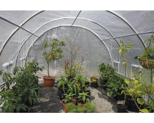 Skleník s rôznymi rastlinami v kvetináčoch