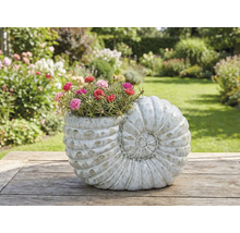 Kvetináč v tvare šneka s kvitnúcimi kvetmi na drevenom stole v záhrade